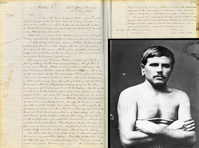 нарцисс пеллетье