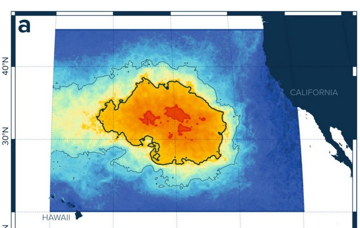 мусорнео пятно на карте