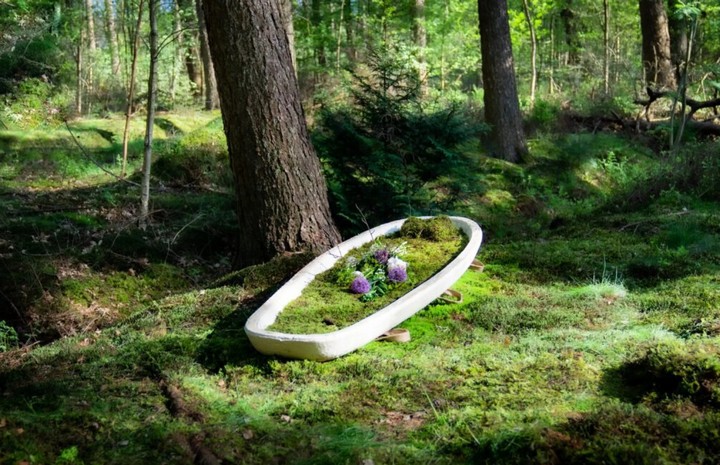 гроб из грибов