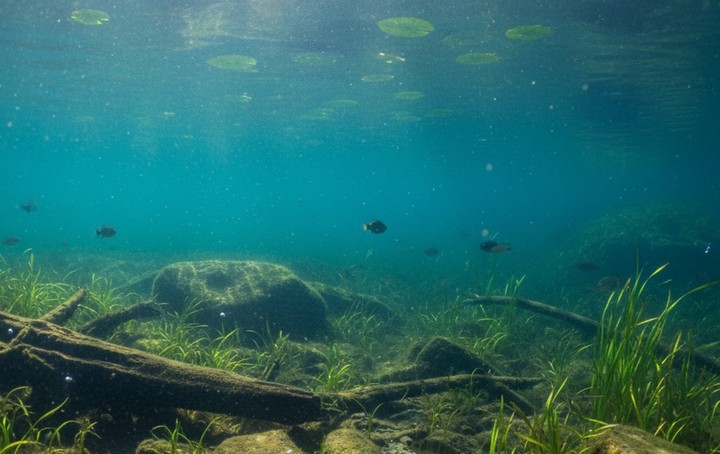 дно озера дно озера