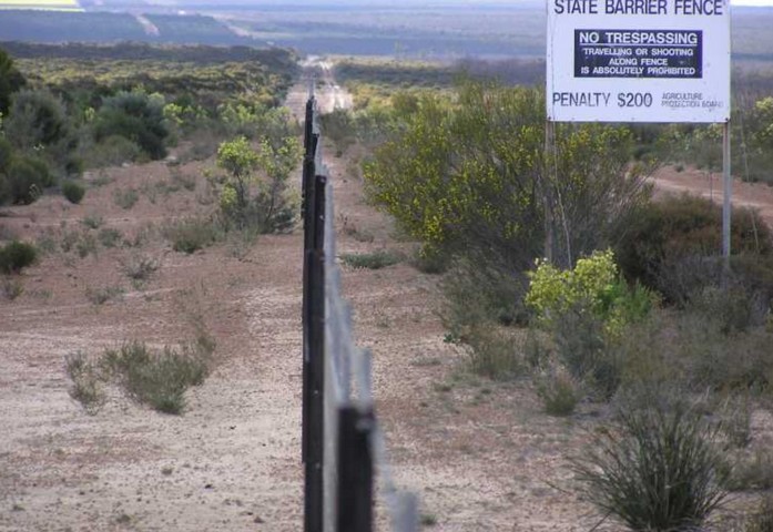 забор от кроликов