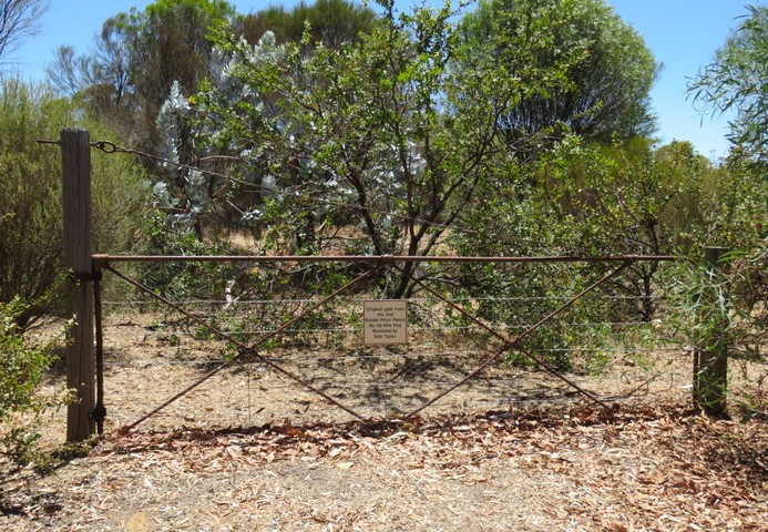 кроличий забор австралии