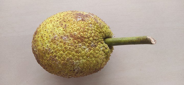 культура будущего культура будущего