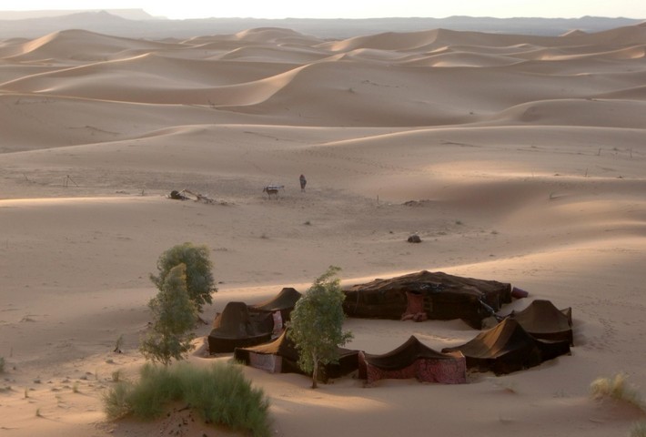 оазис в сахаре