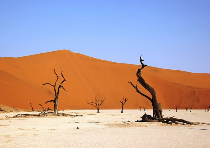 засушливая сахара сегодня