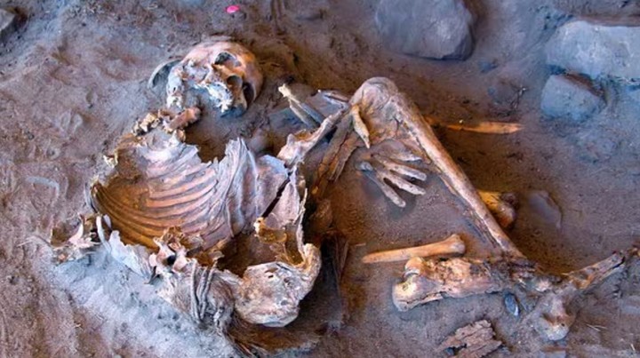 найденные останки