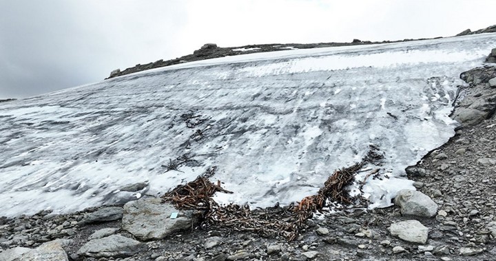 ледяная оленья ловушка ледяная оленья ловушка