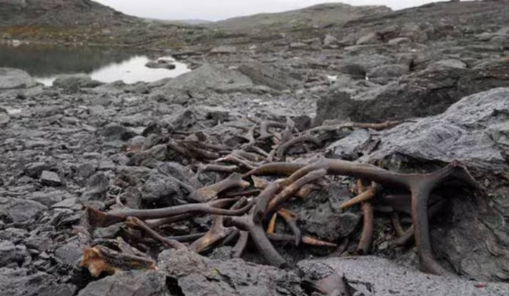 находяка в норвегии находяка в норвегии