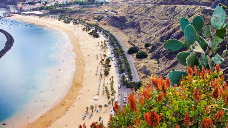 природа тенерифе