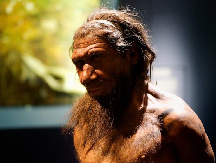 макет неандертальца макет неандертальца