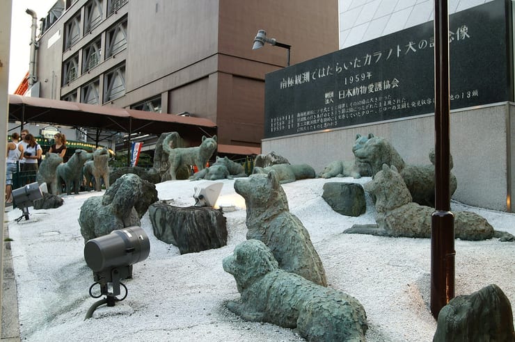 еще один памятник собакам