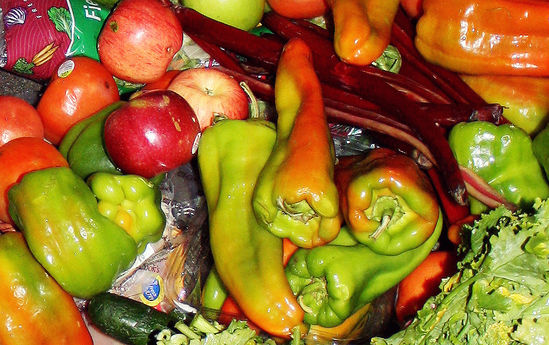 фриганы фриганы