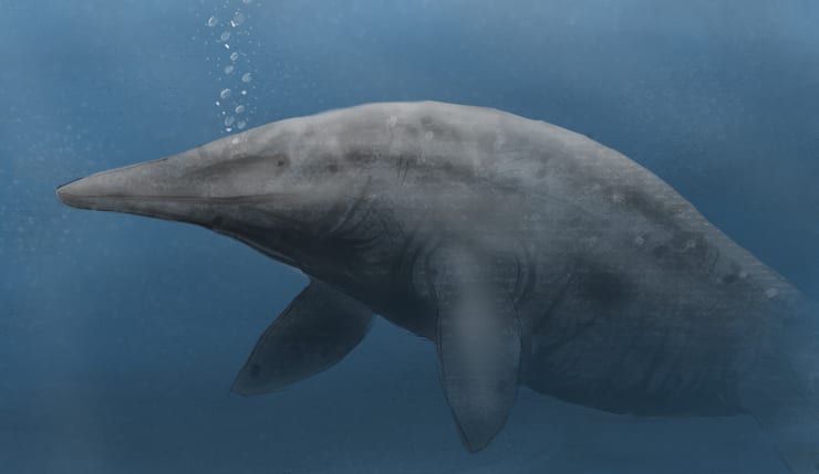 Шастазавр сиканниенсис