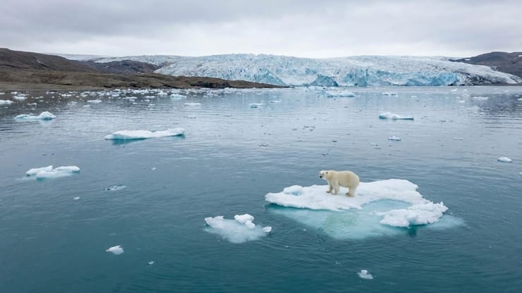 потепление и таяние льдов