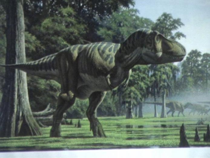 иллюстрация тиранозавра в движении