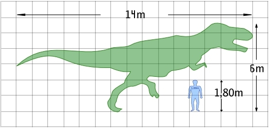 сравнение размеров тиранозавра и человека