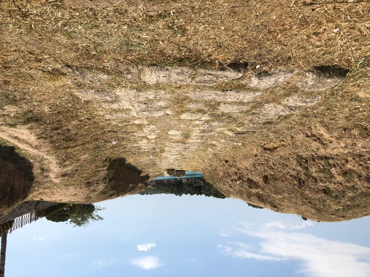 диолк и история