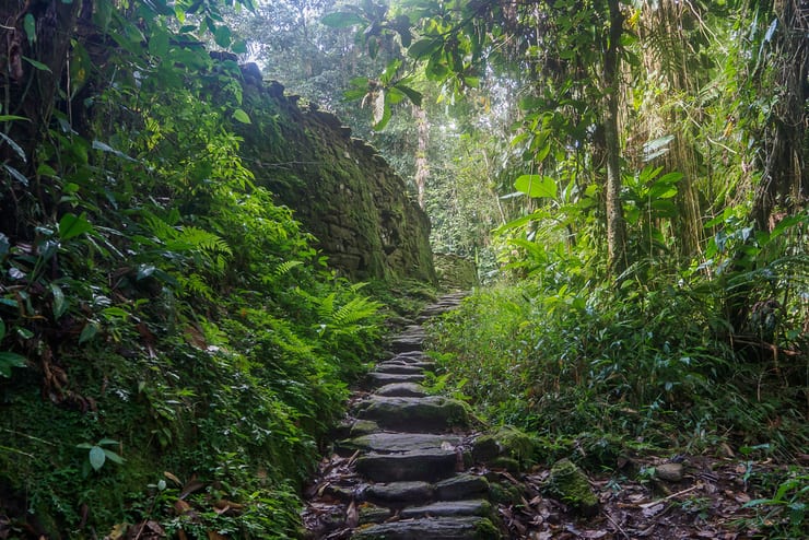 тропа к затерянному городу
