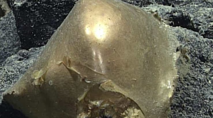 странная находка