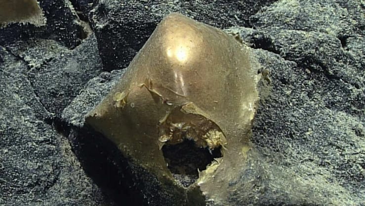 загадочная золотая находка