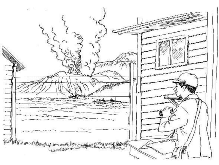 картинка с мимадзу