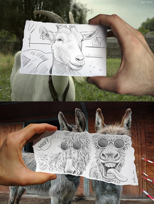 Коза и ослы Коза и ослы