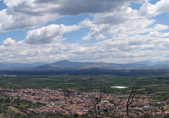 фальчано