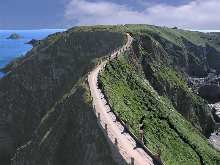 сарк