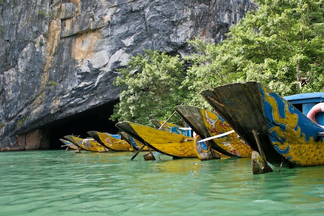 национальный парк вьетнама