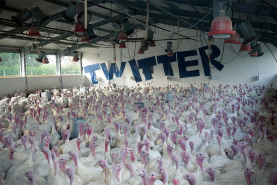 инсталляции Филиппо Минелли инсталляции Филиппо Минелли