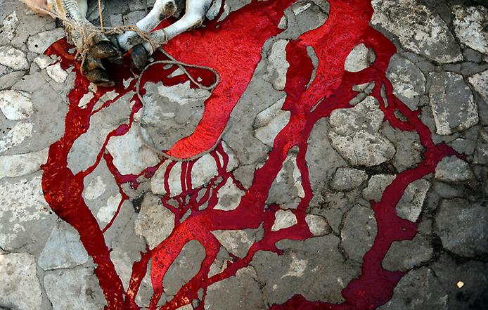 подготовка к разделке мяса после обряда