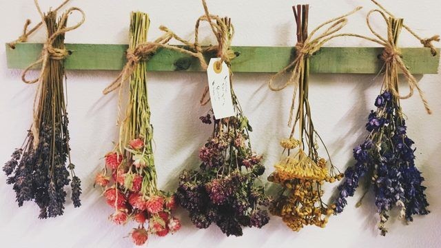 холмы острова святой троицы холмы острова святой троицы