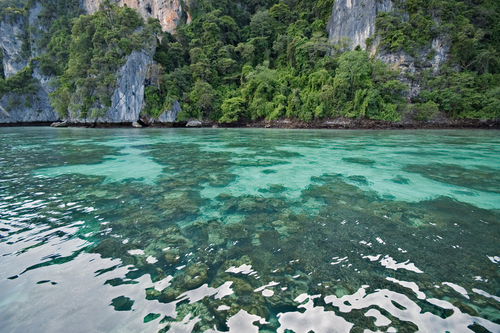 остров Фи Фи