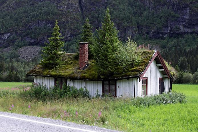 зелёные крыши норвегии
