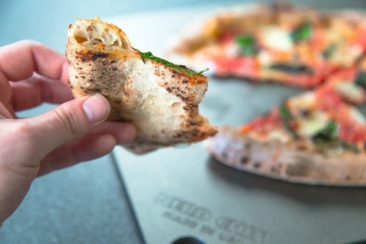 драгоценности из насекомых