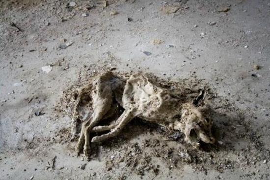 опасные тюрьмы опасные тюрьмы