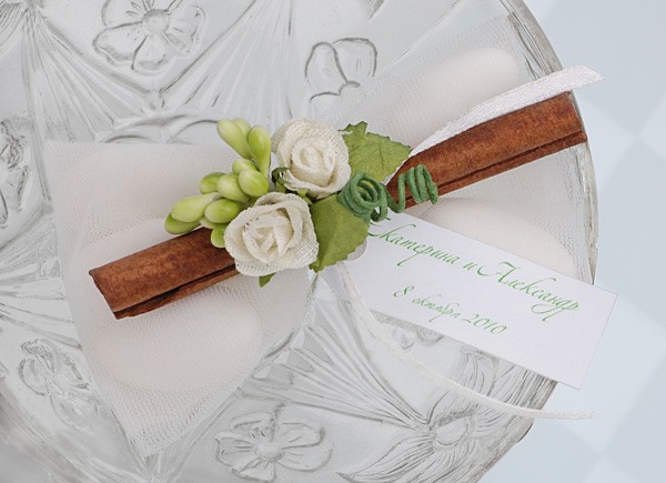 молодожёны на фоне пейзажа во время свадебного путешествия