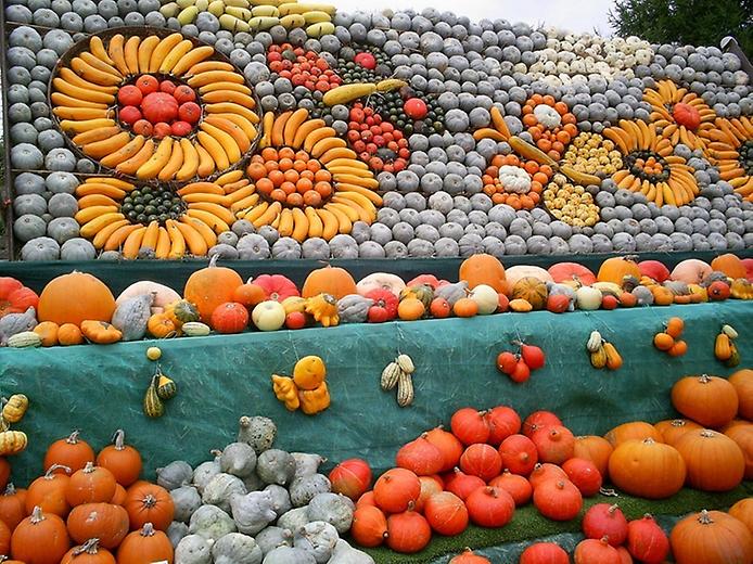 фестиваль тыквы