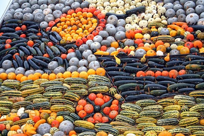 фестиваль тыквы