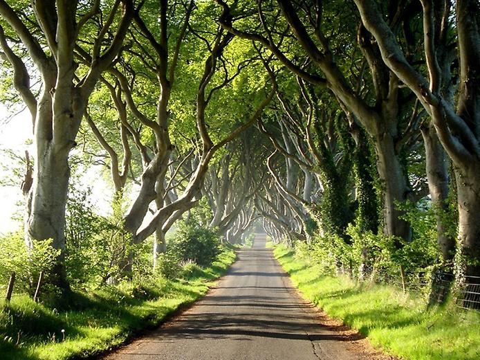 удивительная дорога в ирландии