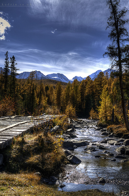 андрей кадрин андрей кадрин