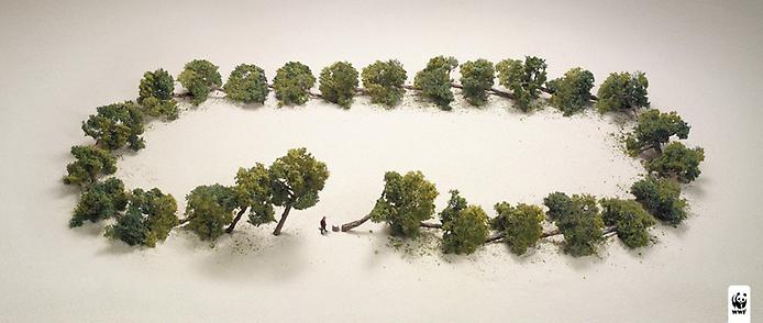 креативные рекламные кампании