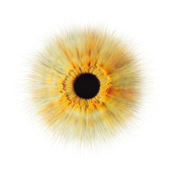 Эммануэль Струбант, шеф-повар Эммануэль Струбант, шеф-повар