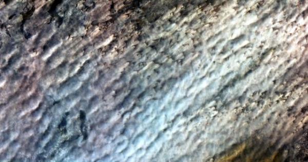 дюны бодель