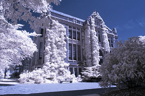 инфракрасные фотографии