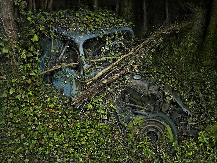 брошенные старые автомобили брошенные старые автомобили