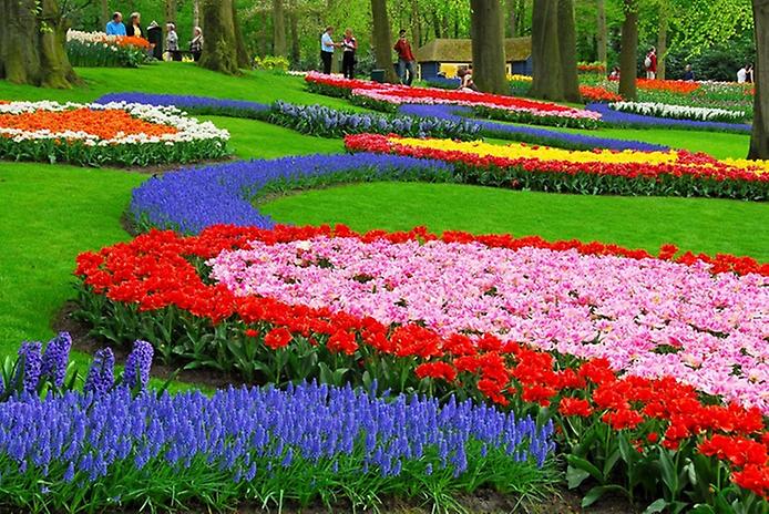 цветные сады кёкенхоф