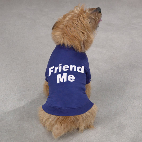 собака в дизайнерском костюме