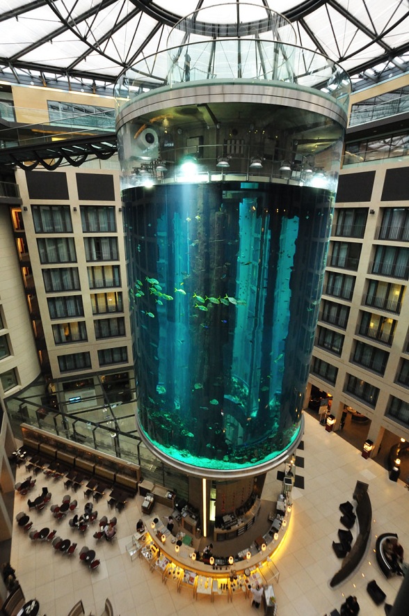 AquaDom и самый большой аквариум-цилиндр