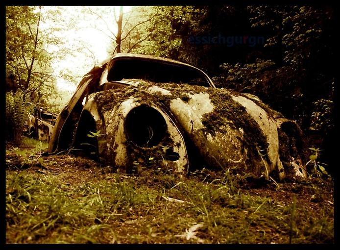 брошенные старые автомобили